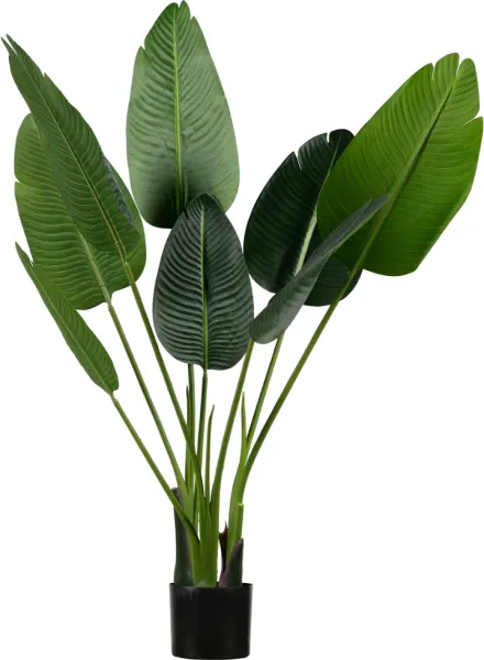 Strelitzia, Tekokasvi, vihreä, H108x61x50 cm